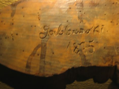 fej_vesese.jpg fej_vesese.jpg